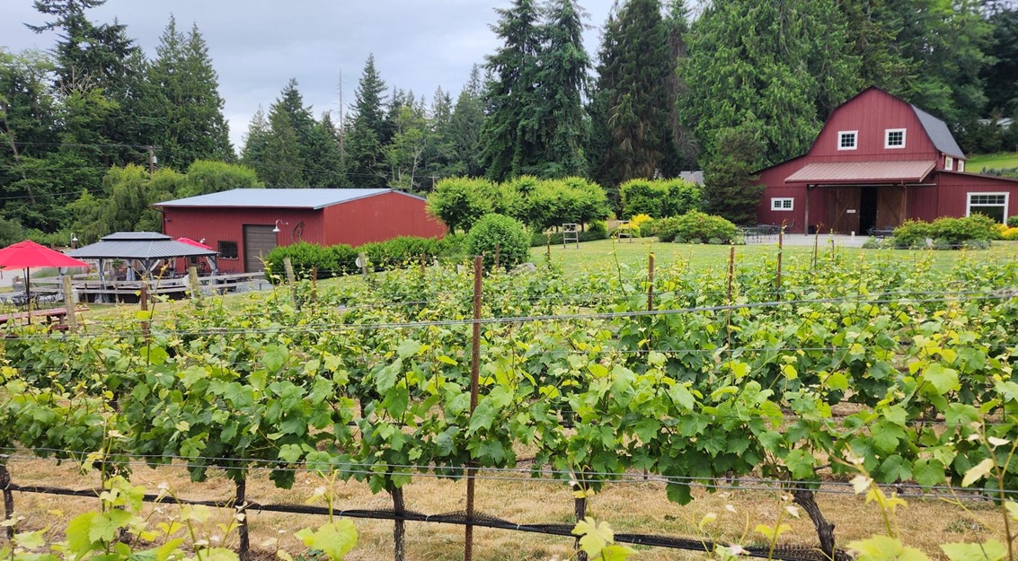 Dancing Fish Vineyards event venue on Whidbey Island