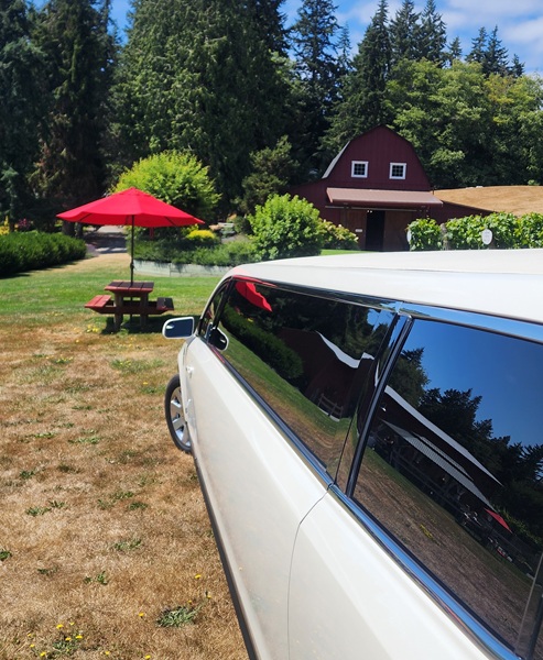 Dancing Fish Vineyards thumbnail